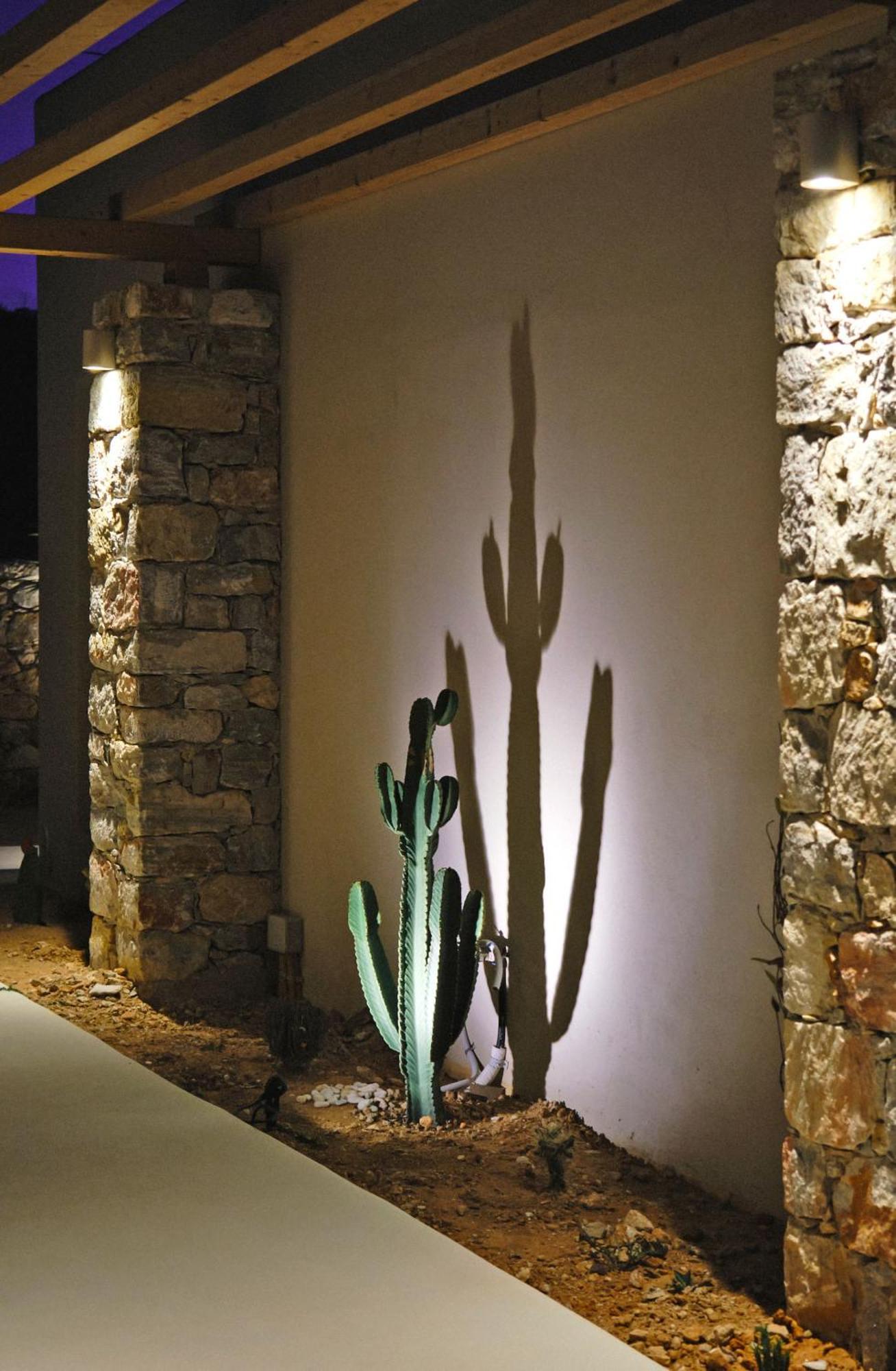 Agave Donousa Suites Exterior foto